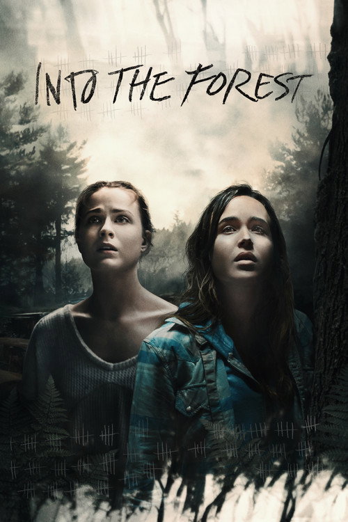 Poster von Into the Forest