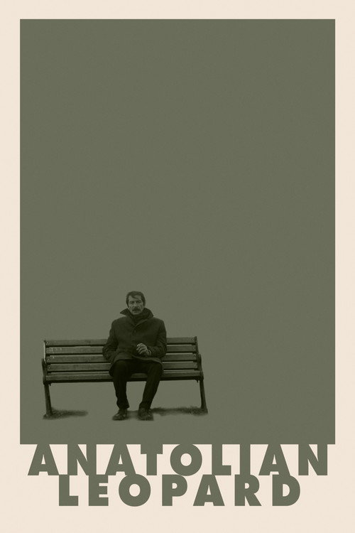 Poster for Anatolian Leopard