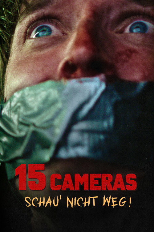 Poster von 15 Cameras