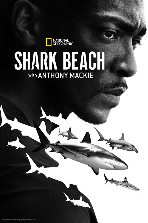 Poster von Der Strand der Haie mit Anthony Mackie: Golfküste
