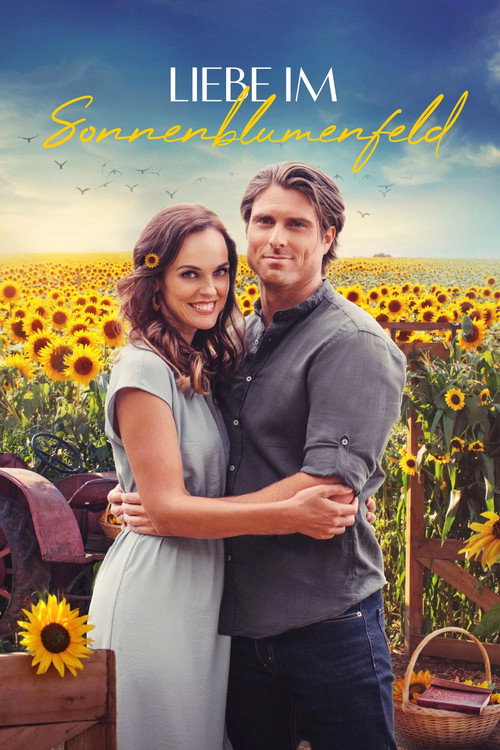 Poster von Liebe im Sonnenblumenfeld