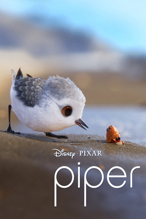 Poster von Piper