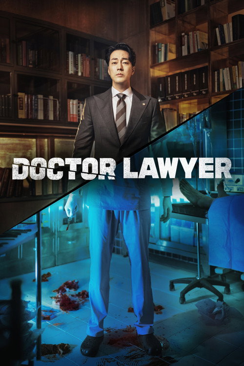 Poster von Doctor Lawyer
