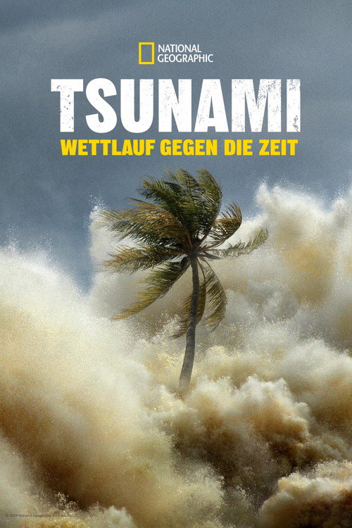Poster von Tsunami: Wettlauf gegen die Zeit
