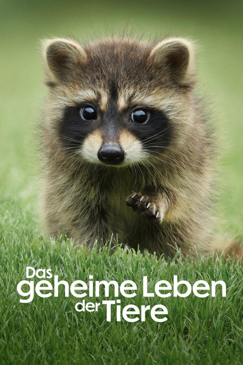 Poster von Das geheime Leben der Tiere