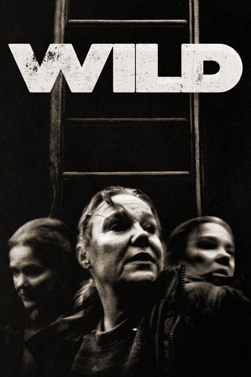 Poster von Wild