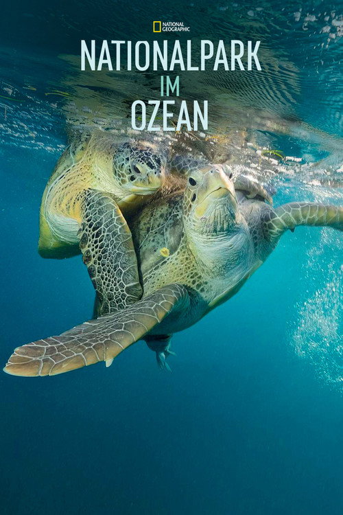 Poster von Nationalpark im Ozean