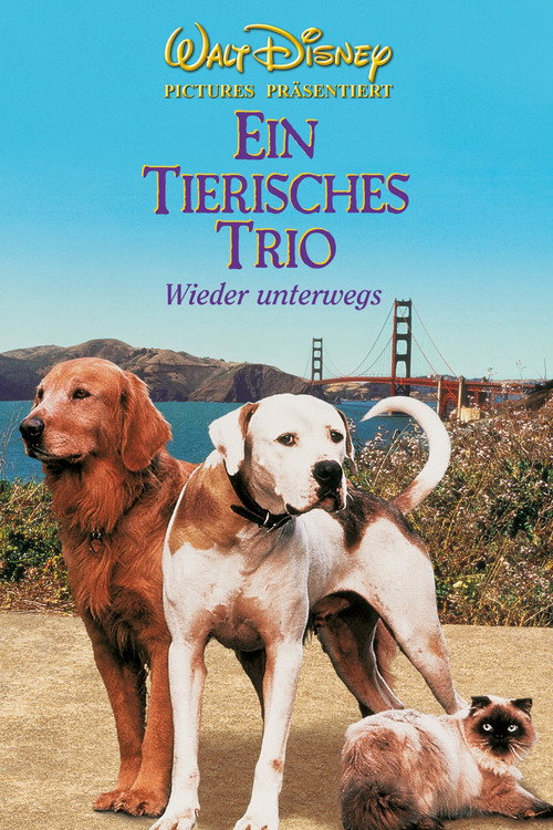 Poster von Ein tierisches Trio - Wieder unterwegs
