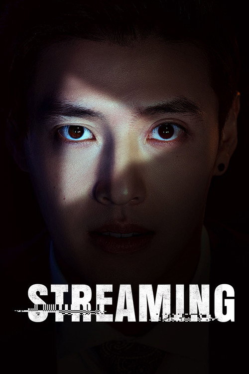 Poster for Streaming