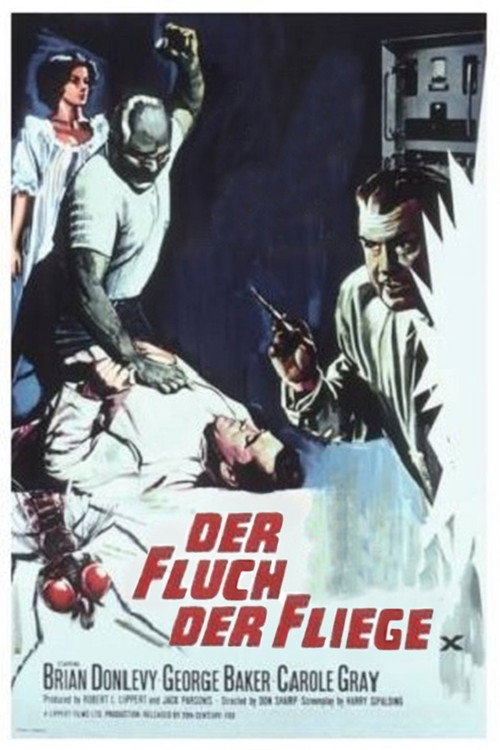 Poster von Der Fluch der Fliege