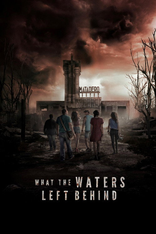Poster von What the Waters Left Behind