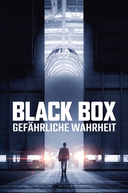 Poster von Black Box - Gefährliche Wahrheit