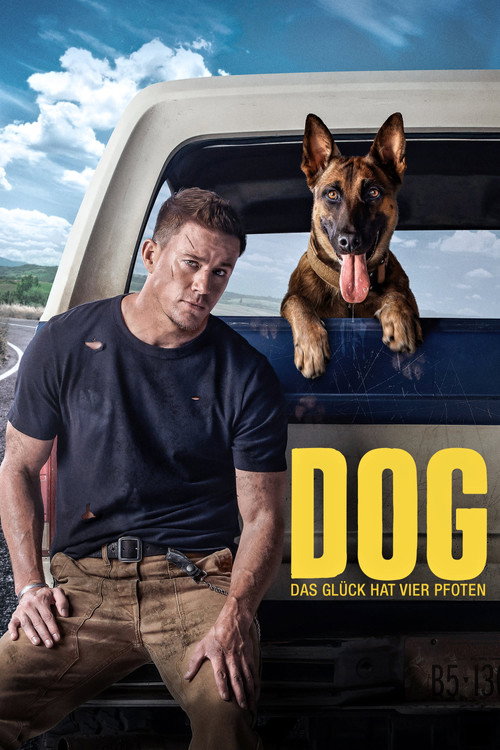 Poster von Dog