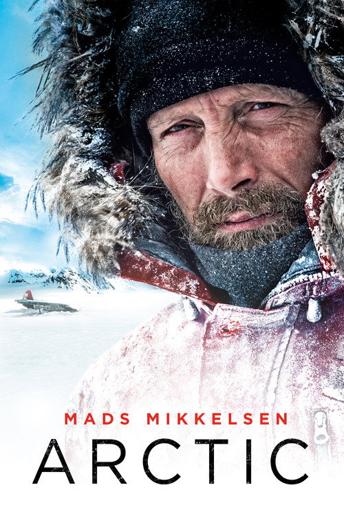 Poster von Arctic