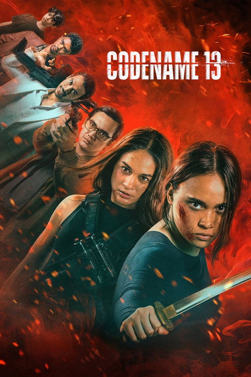Poster von Codename 13