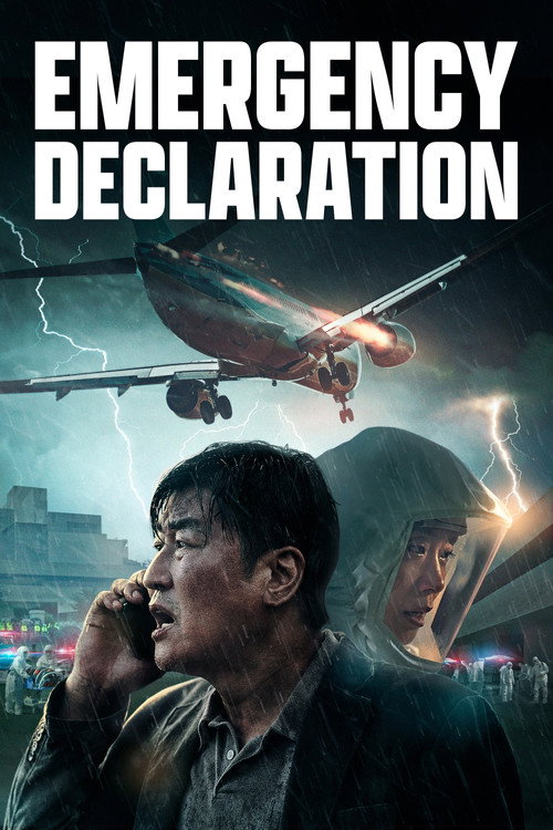 Poster von Emergency Declaration - Der Todesflug