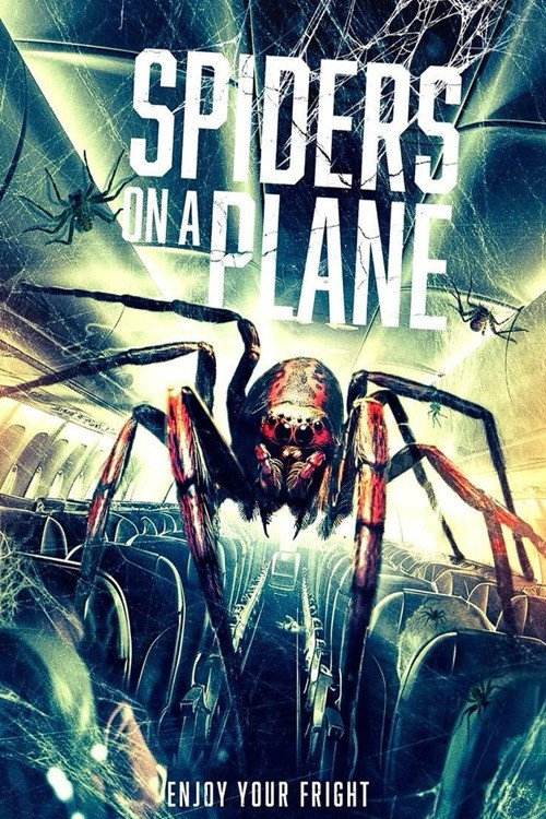 Poster von Spiders on a Plane