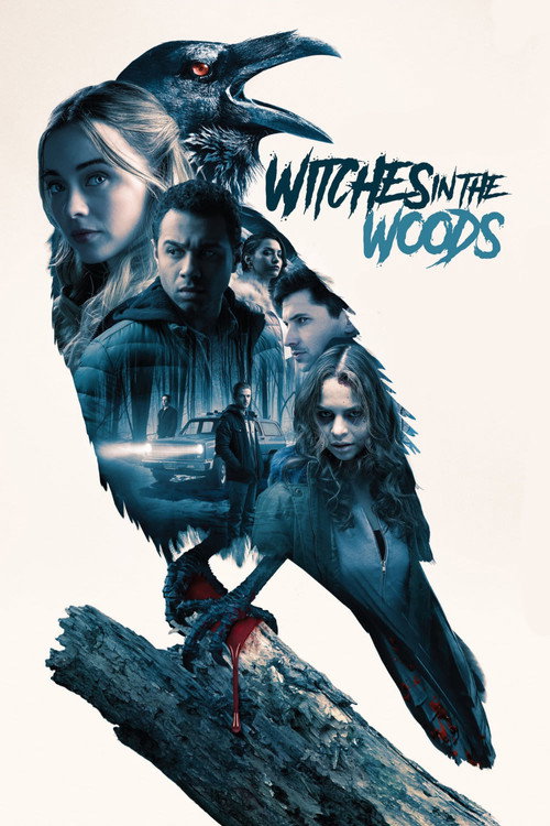 Poster von Witches in the Woods