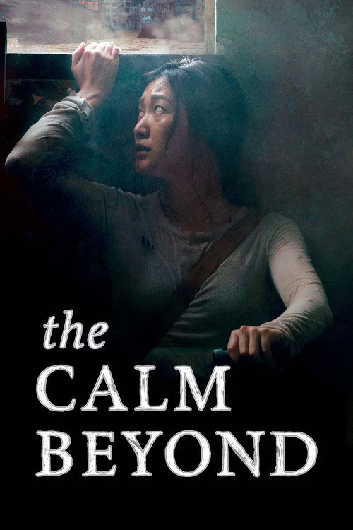 Poster for The Calm Beyond