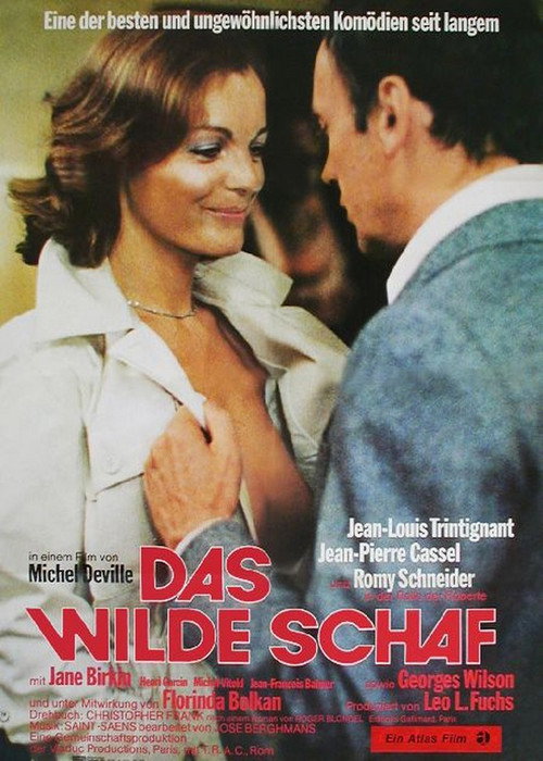 Poster von Das wilde Schaf