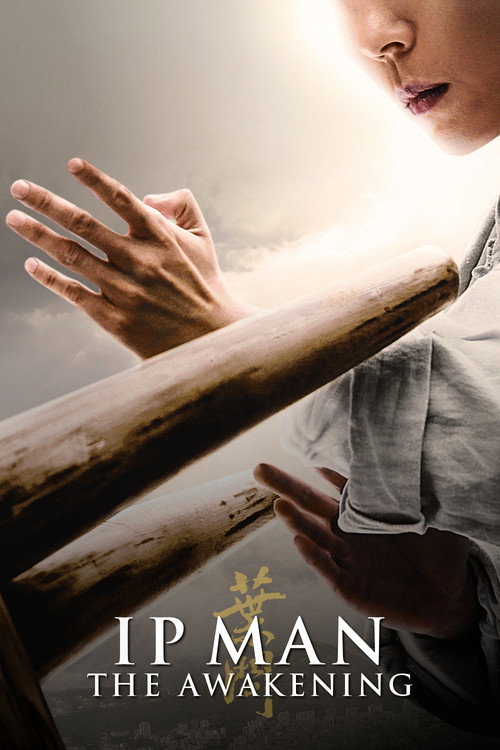 Poster von Ip Man: The Awakening
