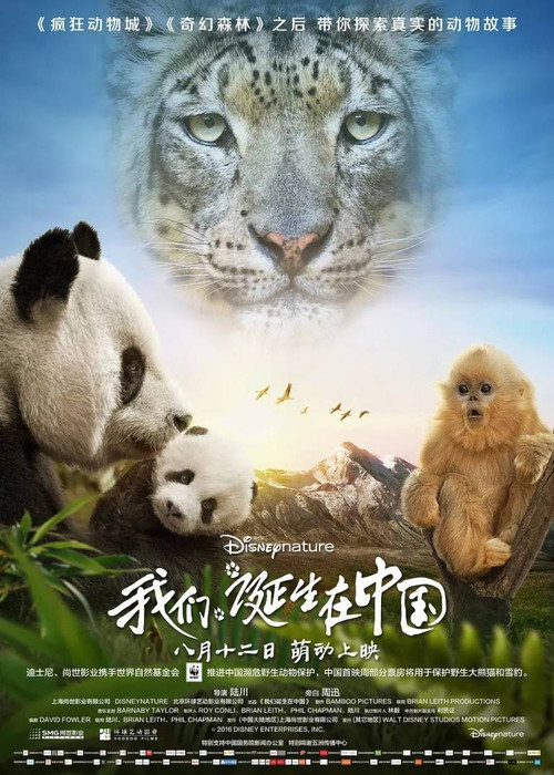Poster von Born in China