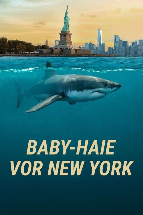 Poster von Baby-Haie vor New York