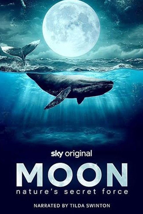 Poster for Moon: Nature's Secret Force