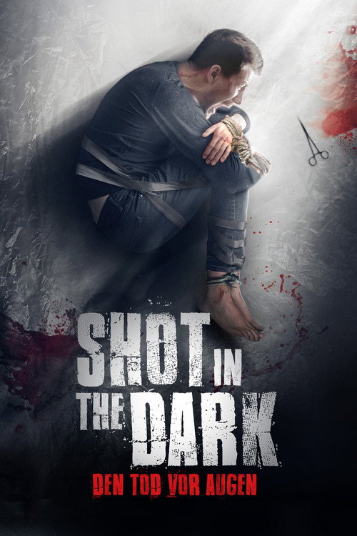 Poster von Shot in the Dark