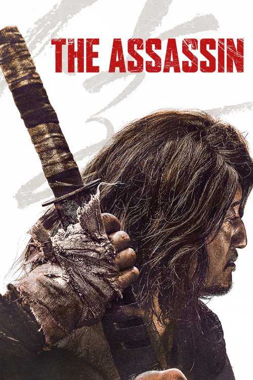 Poster von The Assassin