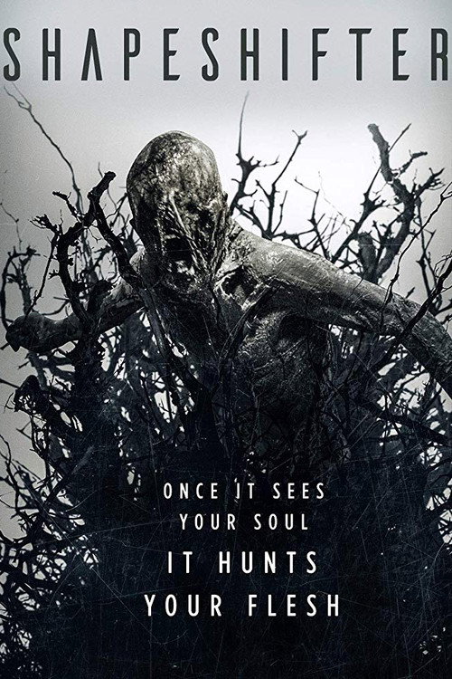 Poster von Shapeshifter