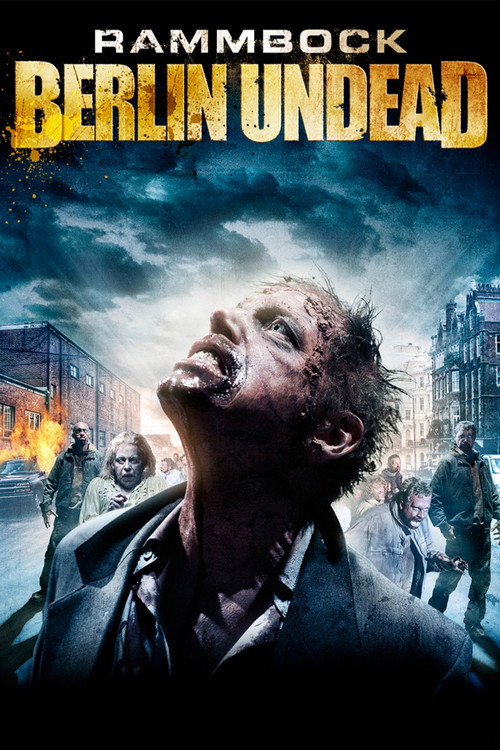 Poster von Rammbock