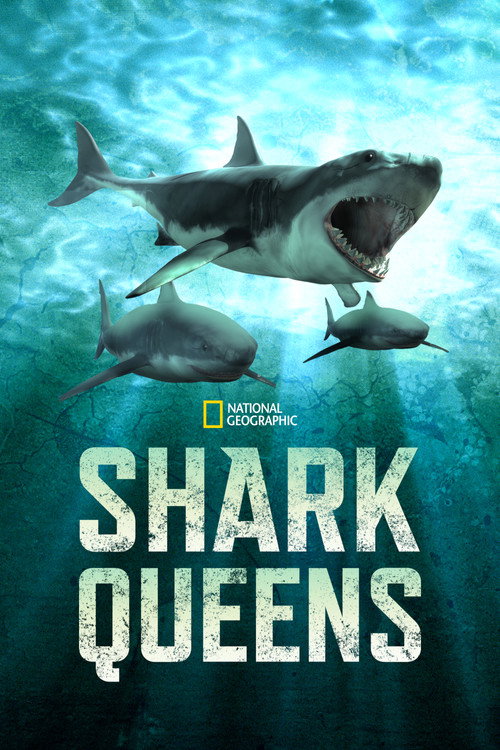 Poster for Shark Queens