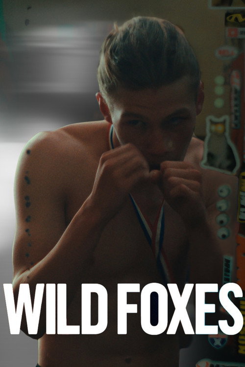 Poster for Wild Foxes