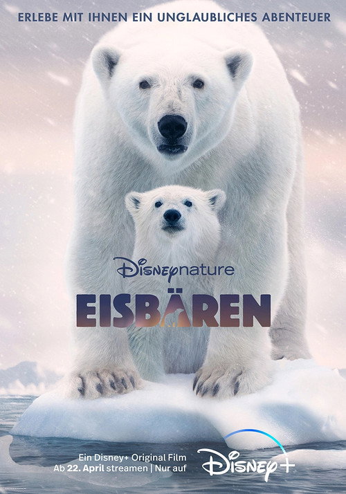 Poster von Eisbären