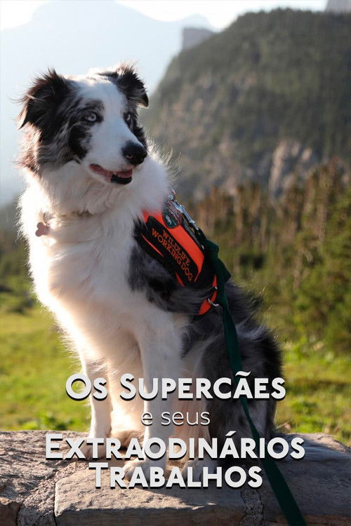 Os Supercães e Seus Extraordinários Trabalhos