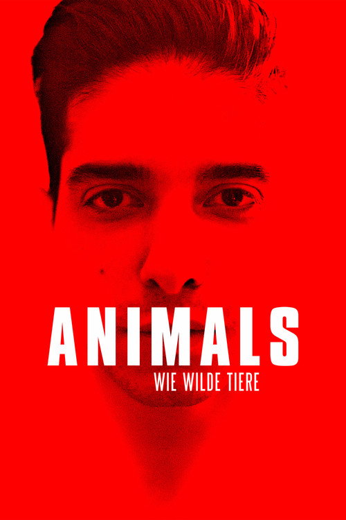 Poster von Animals