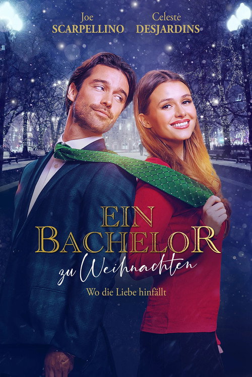 Poster von Ein Bachelor zu Weihnachten