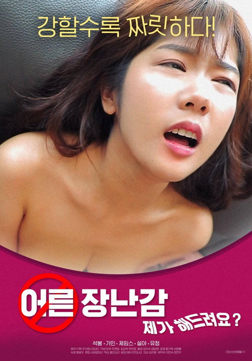 Poster for Adult Toy: Can I Do It For You?