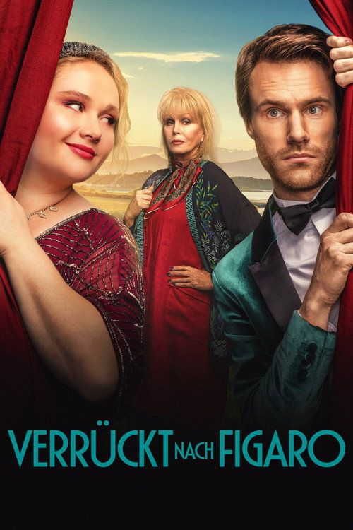 Poster von Verrückt nach Figaro