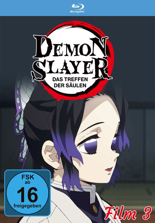Poster von Demon Slayer: Das Treffen der Säulen