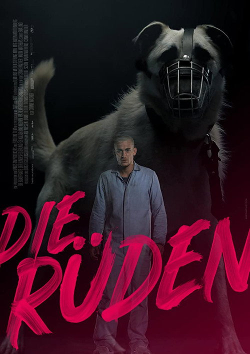 Poster von Die Rüden