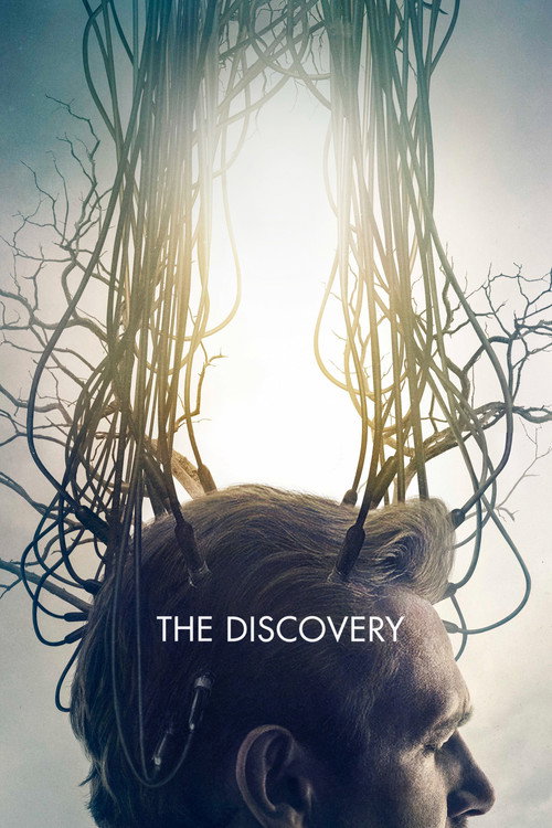 Poster von The Discovery