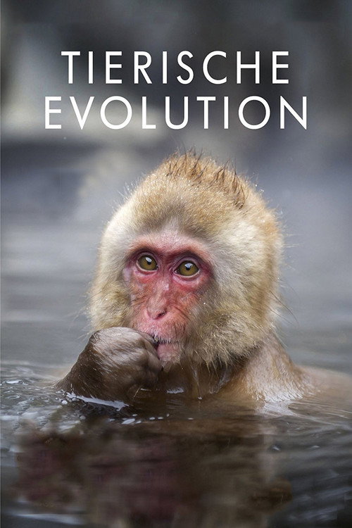 Poster von Tierische Evolution mit David Attenborough