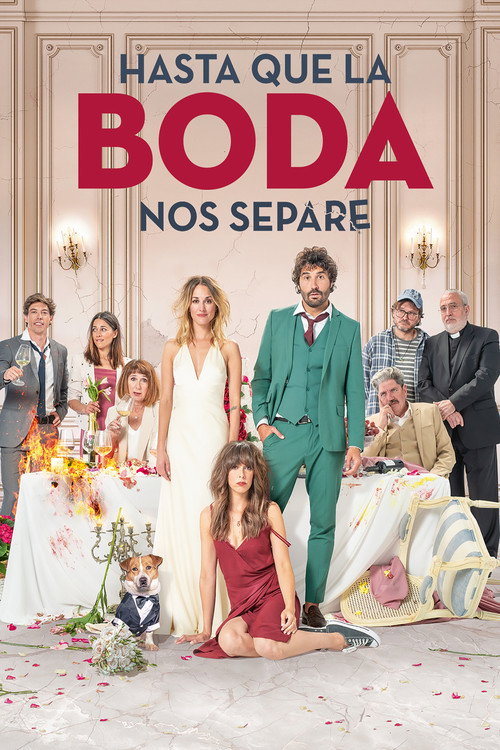Poster for The Wedding Unplanner