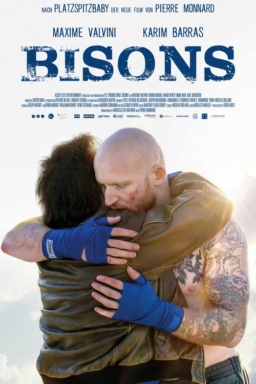 Poster von Bisons