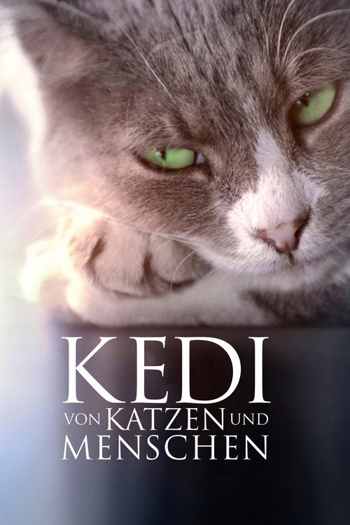 Poster von Kedi - Von Katzen und Menschen