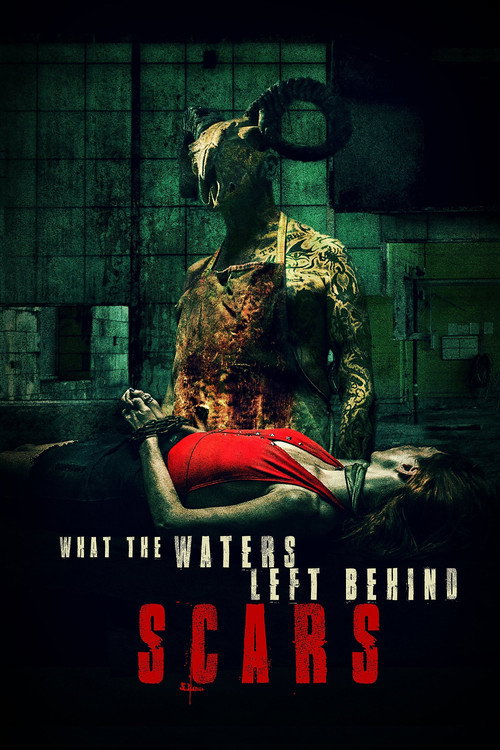 Poster von What the Waters left behind: Scars