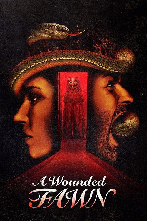 Poster for A Wounded Fawn