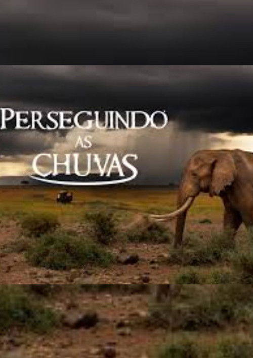 Perseguindo as Chuvas